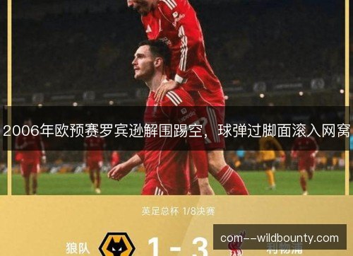 2006年欧预赛罗宾逊解围踢空，球弹过脚面滚入网窝
